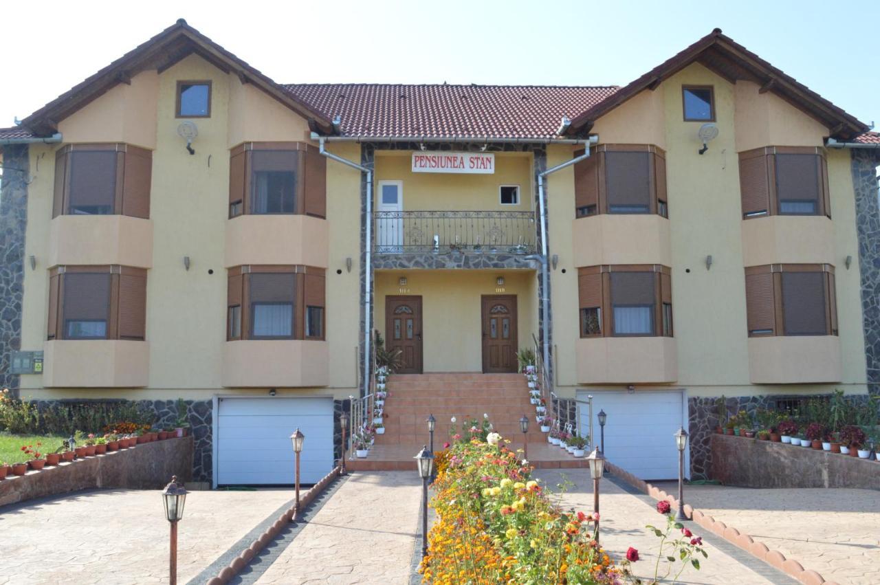 Pensiunea Stan Cisnădie Exterior foto